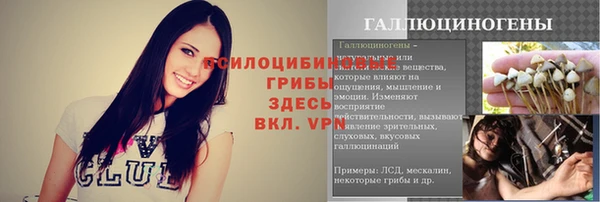 MESCALINE Горно-Алтайск