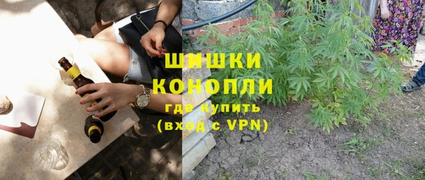 твердый Надым