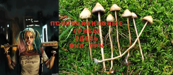 MESCALINE Горно-Алтайск