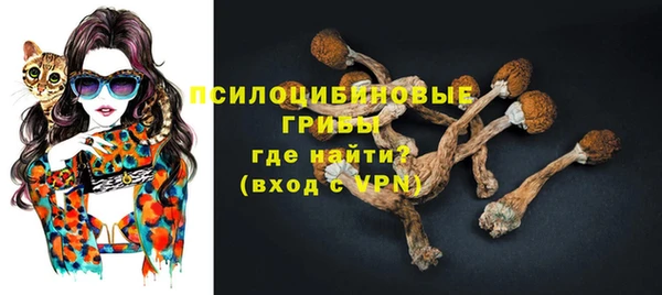 spice Горнозаводск